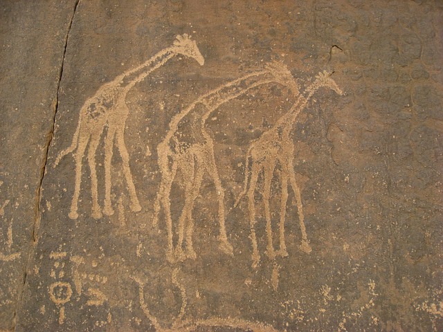 Ancient cave painting depicting dogs protecting livestock (lgd dog)