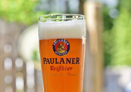 dog beer