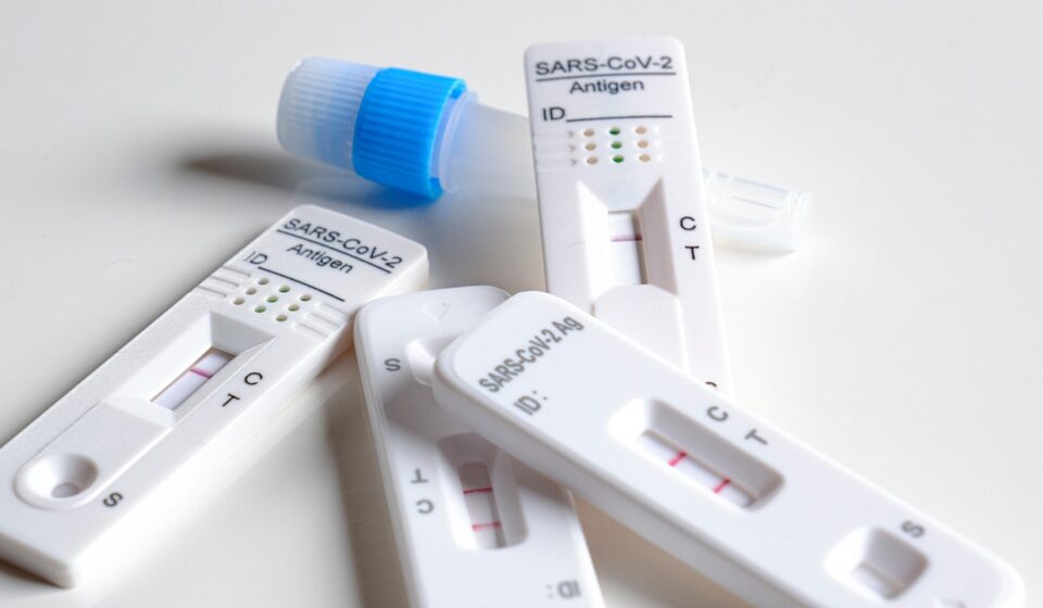 what is dog health testing