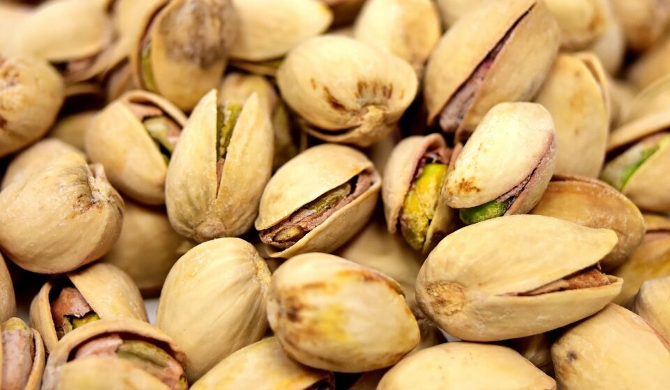 can dogs eat peanut shells