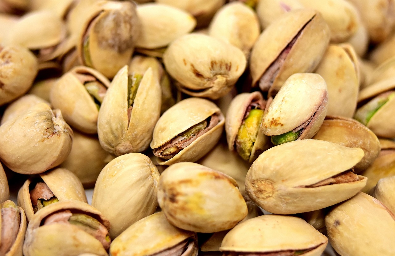 Can Dogs Eat Peanut Shells? A 2026 Safety Guide