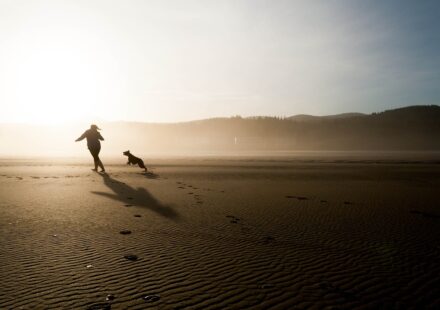 happy dog playing outdoors