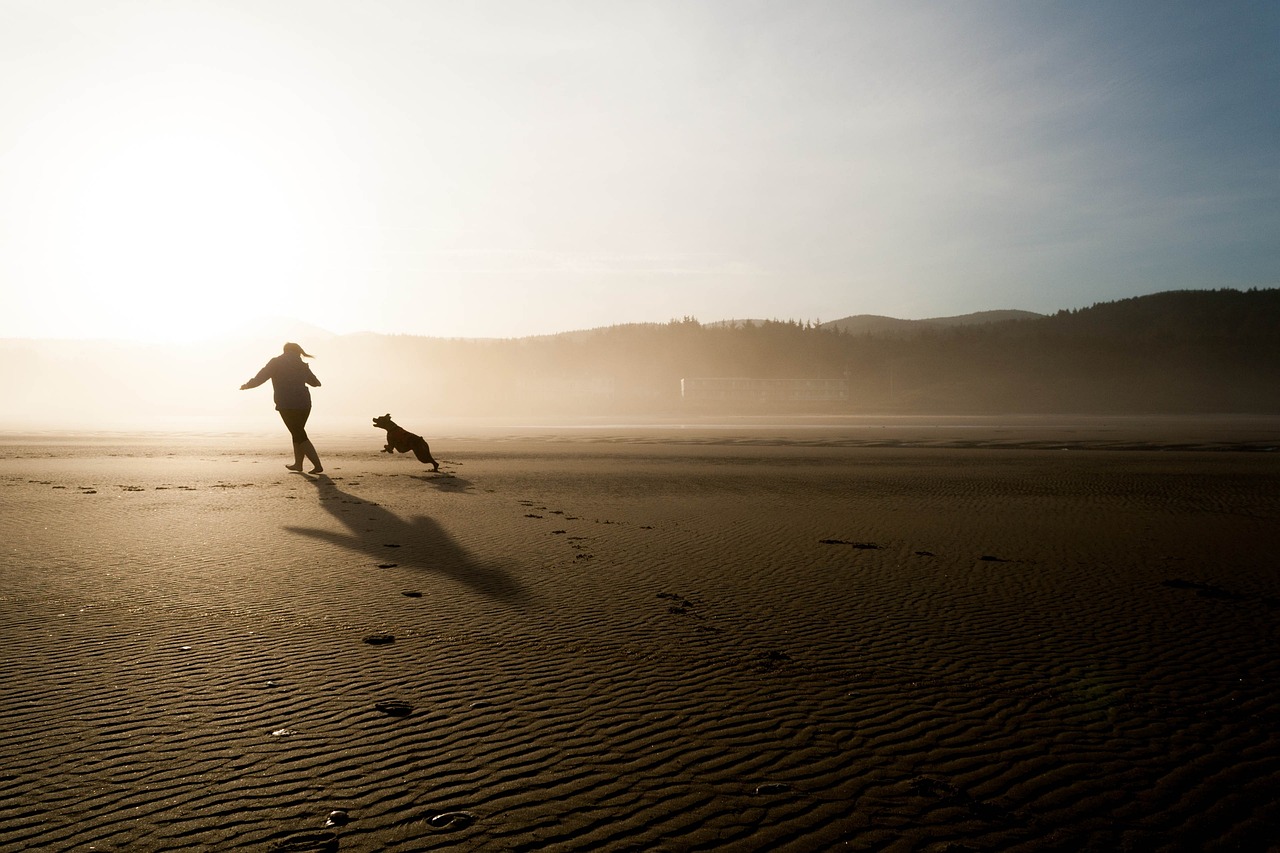 How to Take Care of a Dog: Essential 2026 Guide