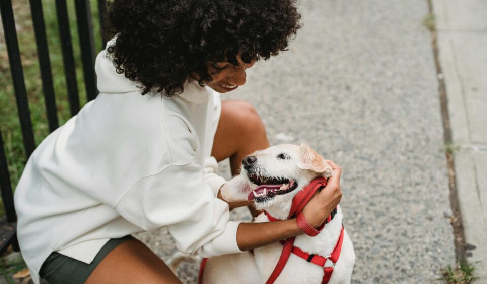 happy pet owner with dog