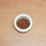 Homemade Dog Food vs. Commercial Kibble: A 2026 Comparison