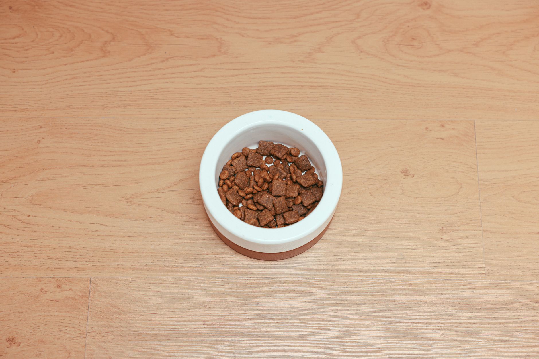 Homemade Dog Food vs. Commercial Kibble: A 2026 Comparison