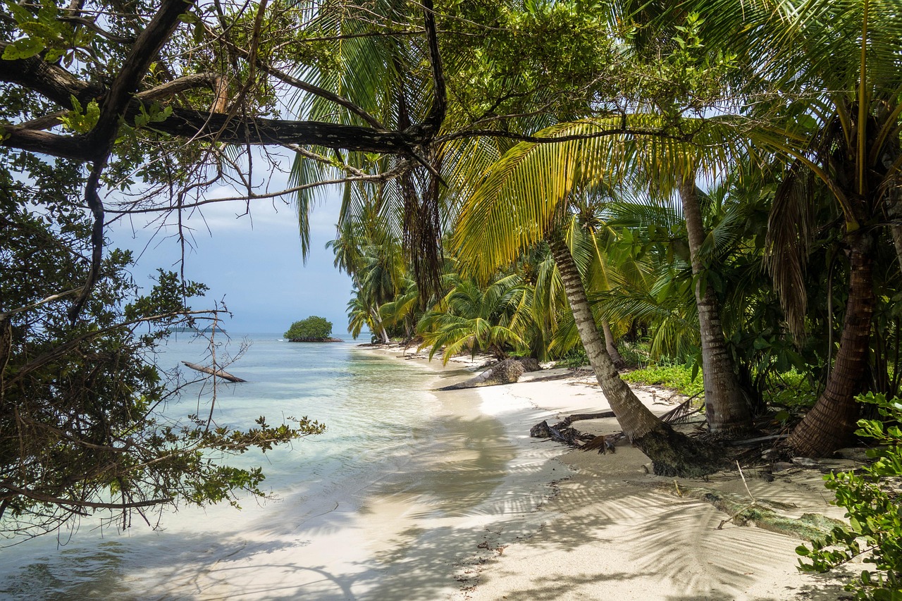 Jungle Island Parrot Jungle: Your 2026 Guide to Exotic