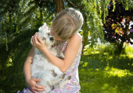 how to keep dog healthy