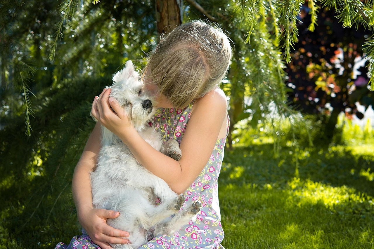 How to Keep Your Dog Healthy in 2026: A Practical Guide