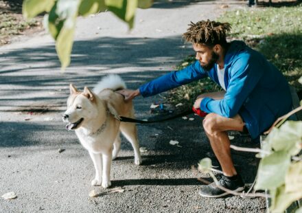 new dog owner caring for puppy