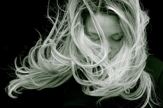 Person brushing a long-haired grey and white cat