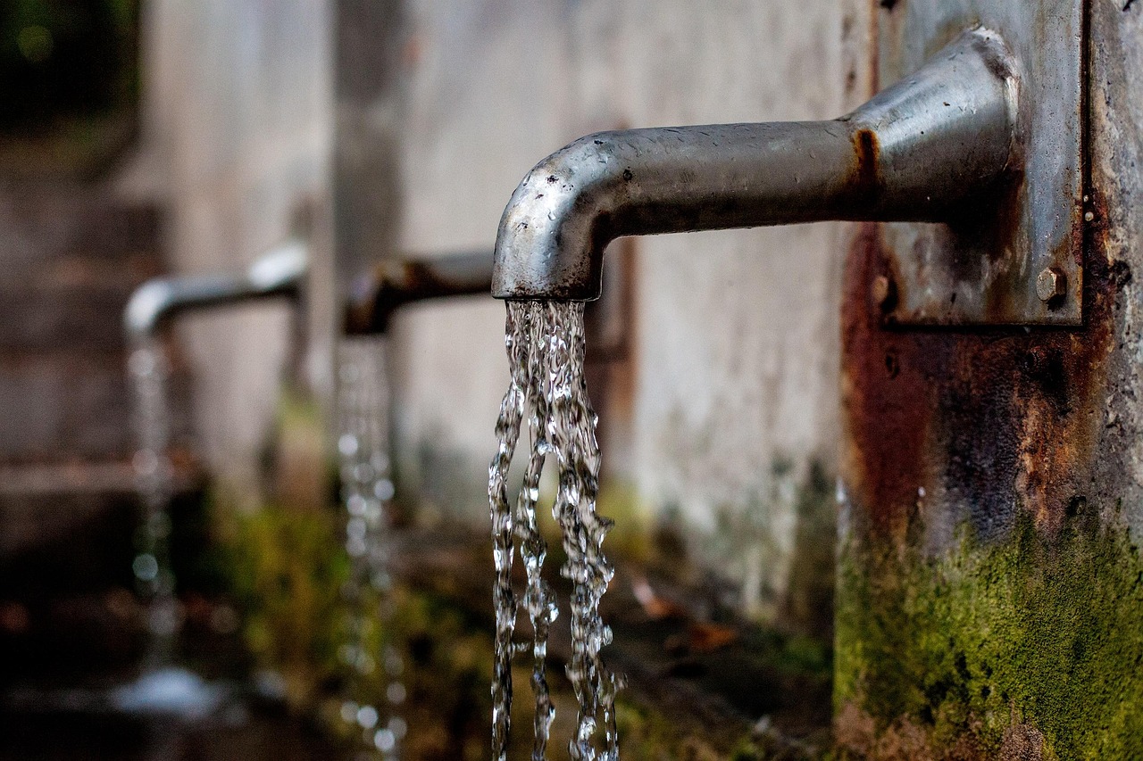 Are Pet Hydration Drinks Safe? A Nutritionist’s Guide 2026