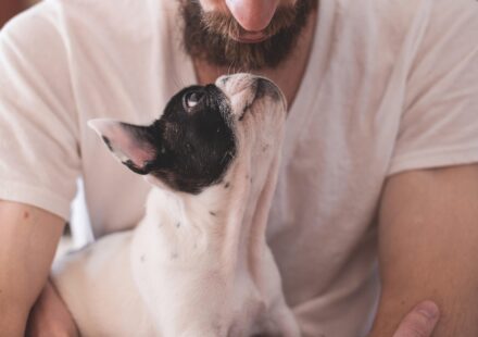 pet owner saving money