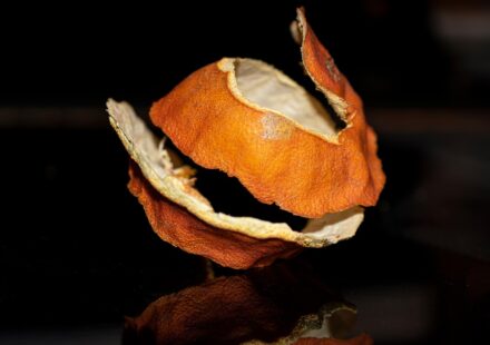 cat avoiding orange peel