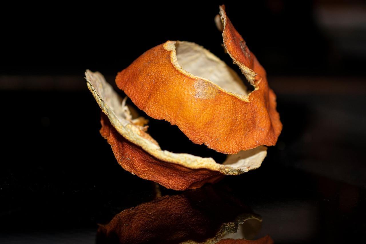Citrus Peels for Cats: Safe Scents or Toxic Terrors?