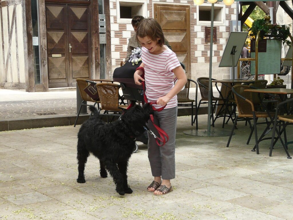 child playing with happy dog