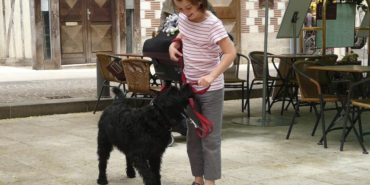 child playing with happy dog