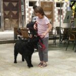 child playing with happy dog