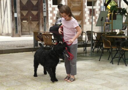child playing with happy dog