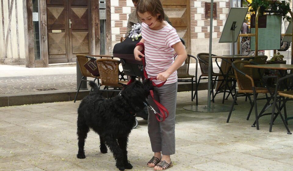 child playing with happy dog