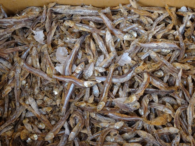 A close-up of sinking fish food pellets falling towards the substrate in an aquarium.