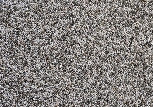Close-up of tiny white nerite snail eggs clustered on aquarium glass