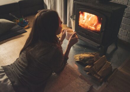cozy cat house interior
