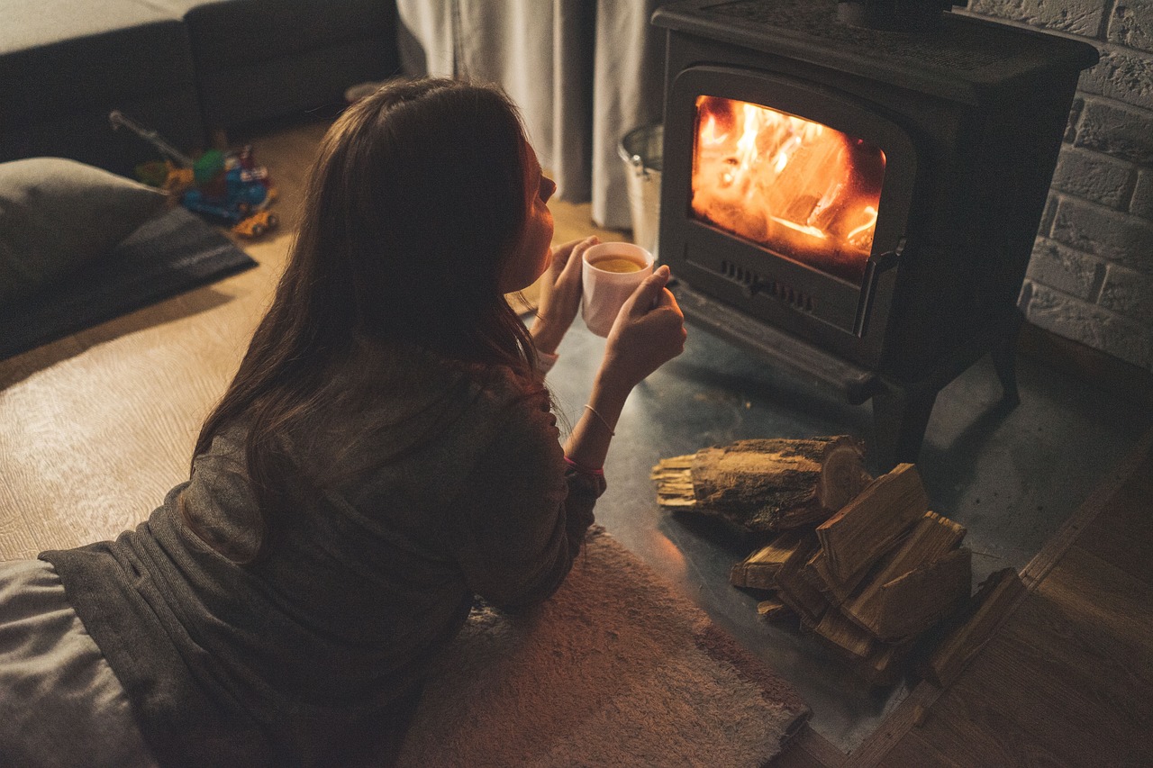 Creating the Perfect Cat House: Cozy Havens for Your Feline