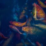 diverse fish eating habits