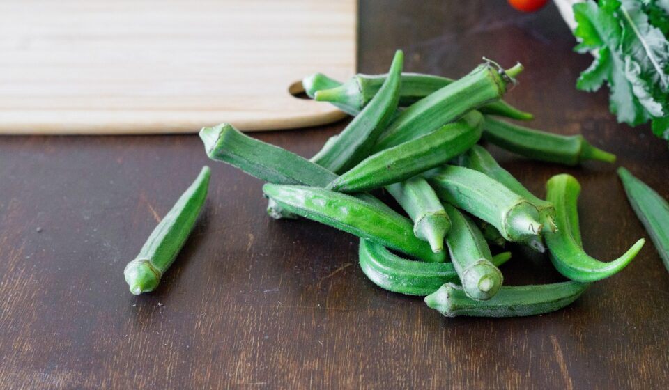 dog eating okra