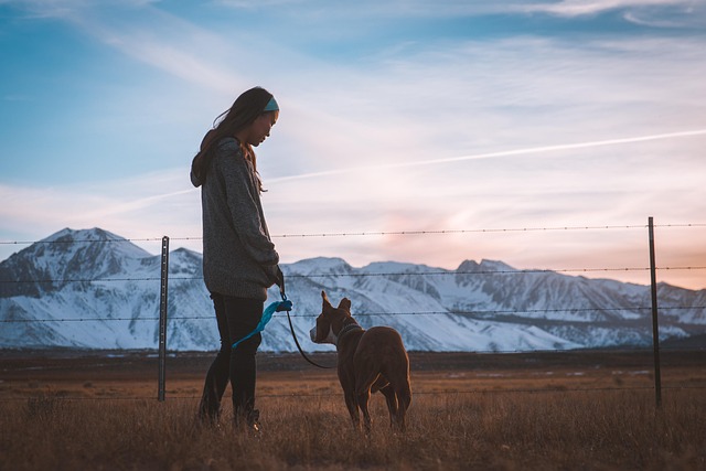 Dog owner preparing frozen banana treats for a dog