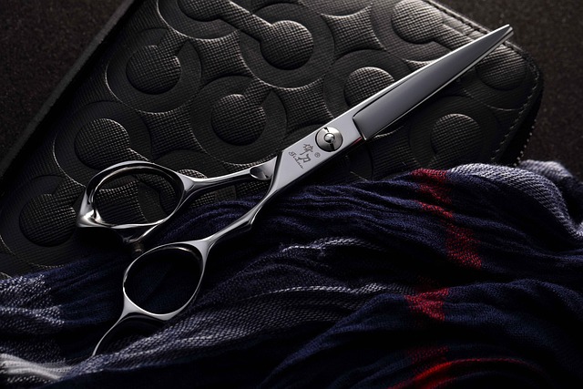 Grooming tools for a Yorkshire Terrier: brush, comb, clippers, scissors