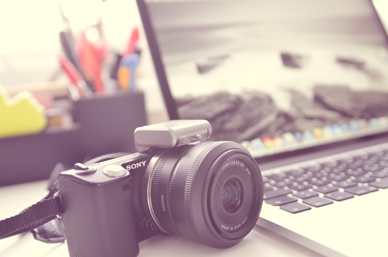 Pet Blogs That Make Money: Your 2026 Guide to Monetization