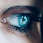 cat eyes dilated pupil