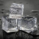 dog eating ice