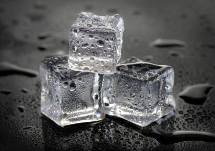dog eating ice