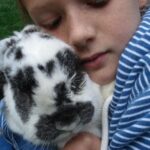 happy pet rabbit