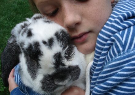 happy pet rabbit
